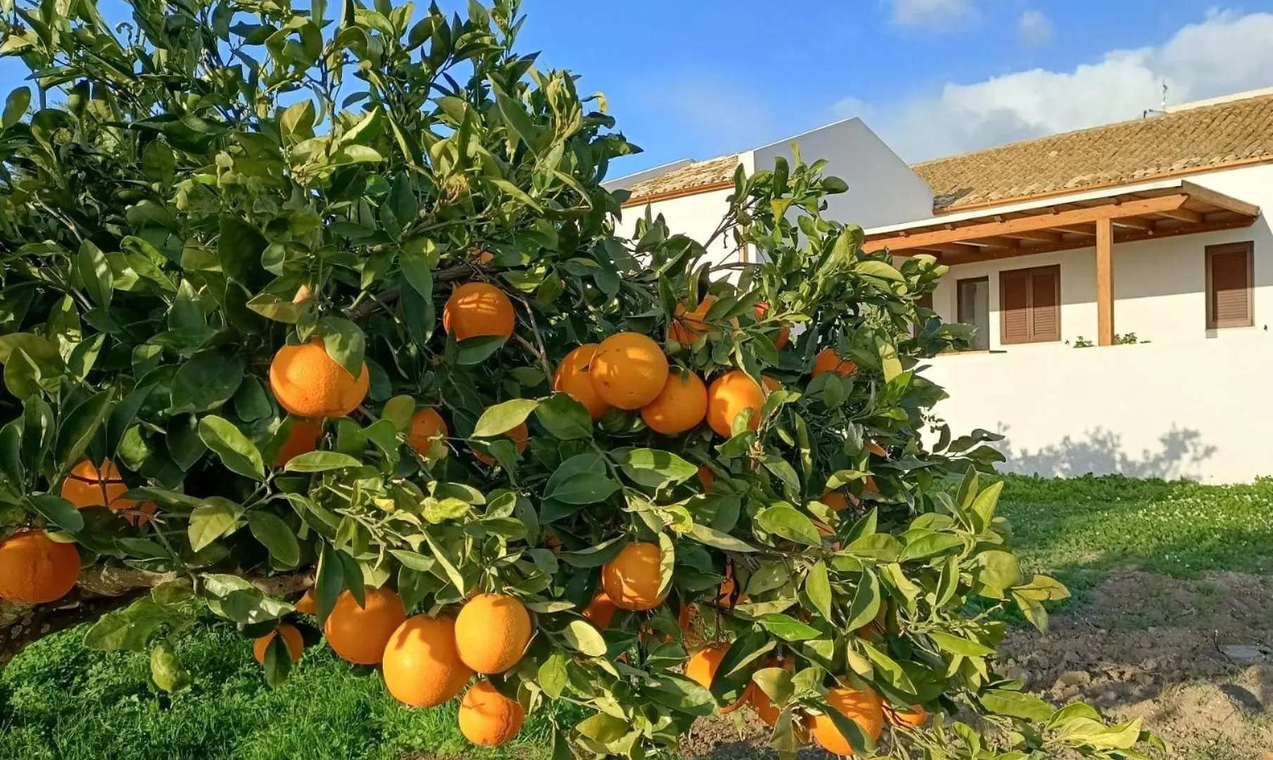 דירות מרסאלה Le Terrazze Sullo Stagnone